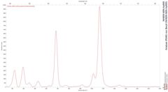 Analyse (RAM) von Beryll (NHMW-MIN-Ay669)